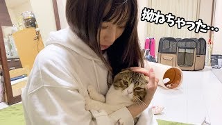 【悲報】ぽこ太郎がいじけてしまいました…【パパ猫・子猫】