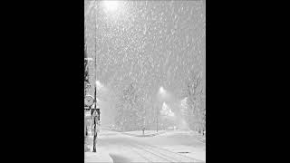 🪽 Kar Düşleri- negatif/ Ahmet  Doğru                        “Ankara’ya kara kar yağar.”