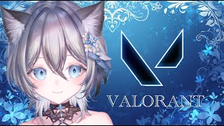 【VAROLANT】よちよちVALORANT成長日記🐾