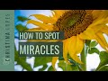 How to Spot &amp; Welcome Miracles Into Your Life