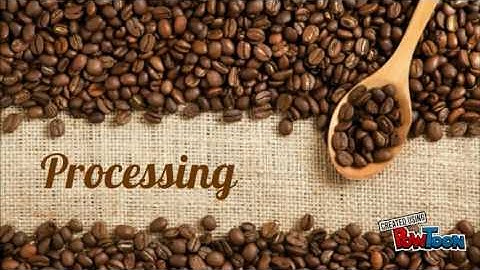 ARRAY PROCESSING - PROGRAM DESIGN METHODS