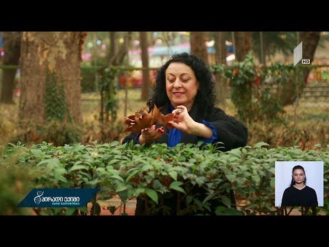 #პირადიექიმი მე დავამარცხე კიბო - ნანა პაპაშვილის ისტორია