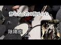 【Drums Cover】「静心なく花の散るらむ」 陰陽座