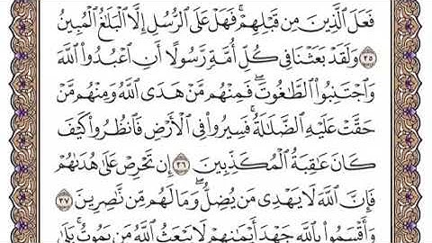 سورة النحل الشيخ ياسر الدوسري صفحة ٢٧١