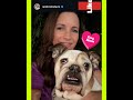 Kristin Davis Sex The City Castmate Chillin With Her Pet Dog Celebrity Actress News Tea 