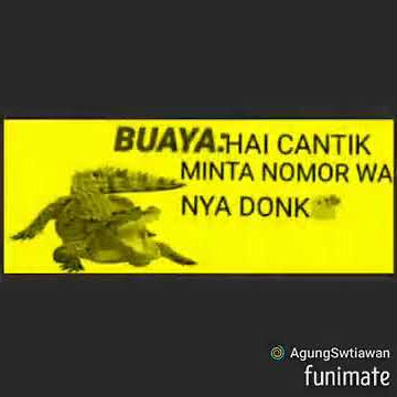 suaranya buaya darat