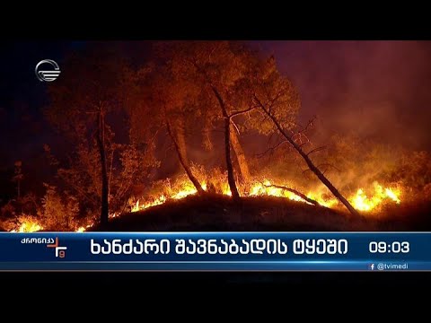 ქრონიკა 09:00 საათზე - 29 აგვისტო, 2022 წელი