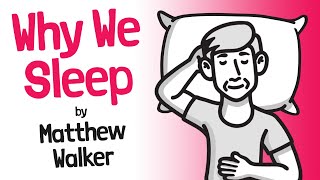 Why We Sleep Book Review  Matthew Walker