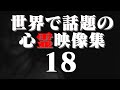 あまりにも衝撃的な世界で話題の心霊動画 18