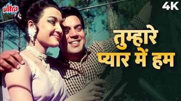 Tumhare Pyaar Mein Hum Shikar Karne Ko Aaye 4K | Mohammed Rafi | Dharmendra, Asha Parekh | Shikar