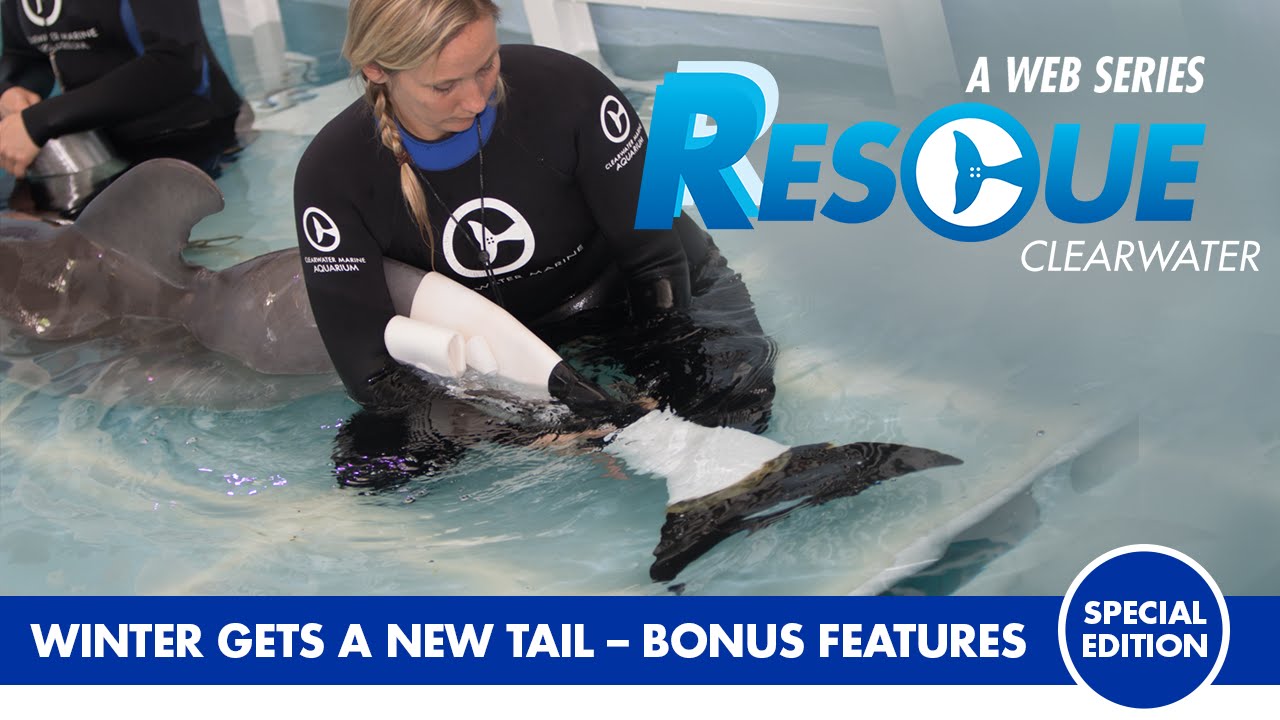Winter Gets a New Tail - Rescue Clearwater Season 1 Bonus Episode 