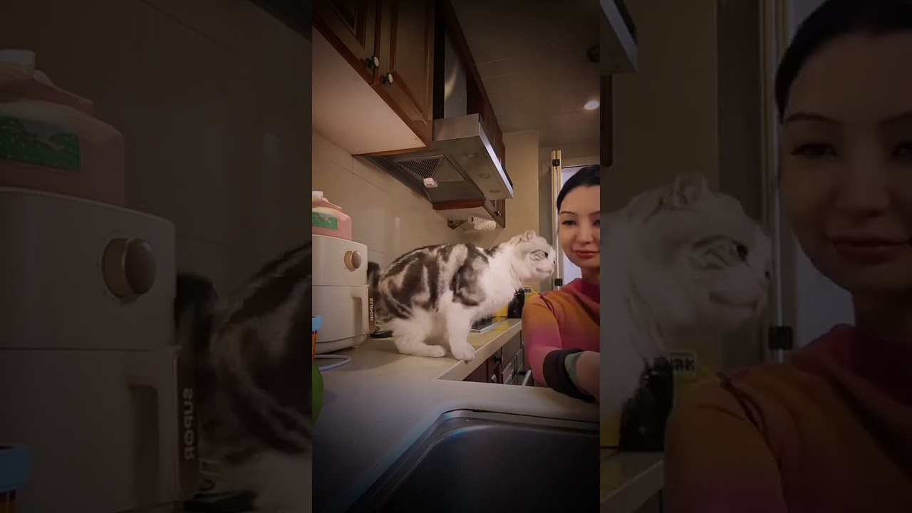 cat's love for its honour.💫🥰😺🐾💓 