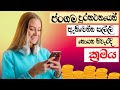 ජංගම දුරකථනයෙන් සල්ලි හොයන නිවැරදි ක්රමය
