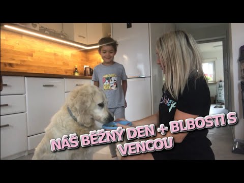 Video: Bílý Pruh: Hvězdy S Velmi Lehkým Obočím, Kterým Je To Jedno