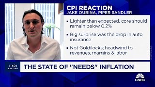 Inflation pressure remains in 'needs' sectors despite discretionary deflation, says Jake Oubina