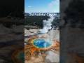 Colours of Yellowstone#travel #explore#usa#youtubeshorts #ytshorts#shorts#subscribe #short #wildlife