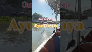 เที่ยวอยุธยา ไหว้พระ เช็คอินคาเฟ่ La Loubere ล่องเรือชมเมืองเก่า #ayutthaya #travel #อยุธยา #cafe เที่ยวอยุธยา ไหว้พระ เช็คอินคาเฟ่ La Loubere ล่องเรือชมเมืองเก่า #ayutthaya #travel #อยุธยา #cafe