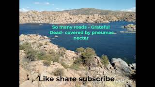 Grateful Dead- So many roads/ cover by pneumas nectar- Live w bkg trx #livemusic #newmusic #guitar