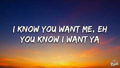 Pitbull - I Know You Want Me (Calle Ocho) (Lyrics)