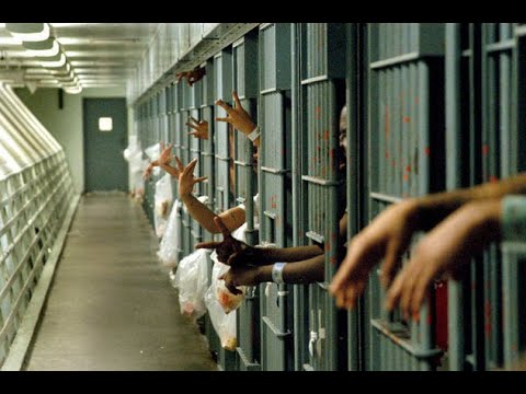 Видео: Стэнфордын шоронгийн туршилт юу судалж байсан бэ?
