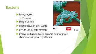 Introduction to the Microbial World
