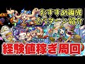【トリッキィ】けいウサおすすめ周回編成。経験値稼ぎパーティ。オニャンコαなし天沼矛ワンパンも!【モンスト】