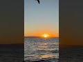 Ocean Rise #sunrise #shorts