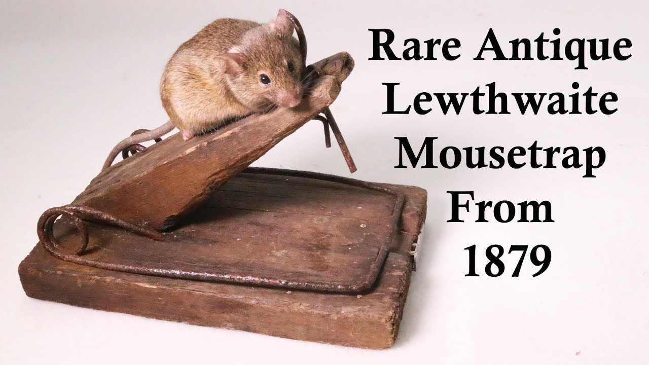 140 Year Old Lewthwaite Mousetrap From 1879. Rare Antique Mouse Trap