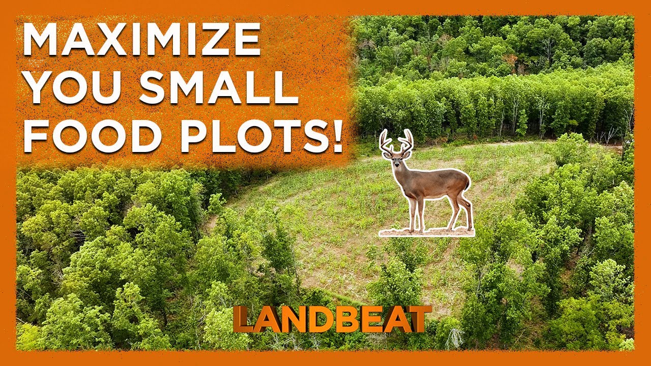 Maximize Your Small Food Plots! - YouTube