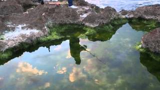 PESCADORES CUBANOS Y su bonito reflejo en el agua