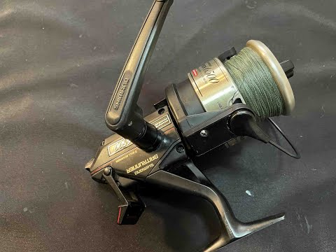 Young Martin's Reels -- Shimano Baitrunner 6500 -- Service and