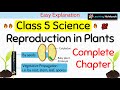 Class 5 Science Chapter 1 Reproduction in Plants