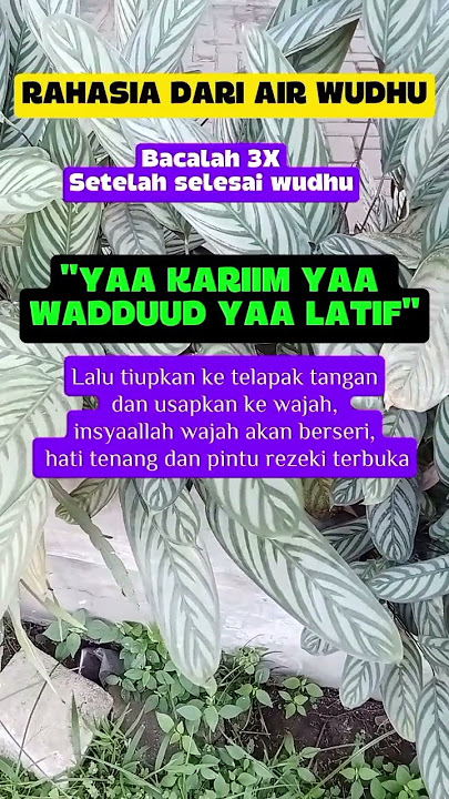 do'awudhu#do'islami#do'aharian