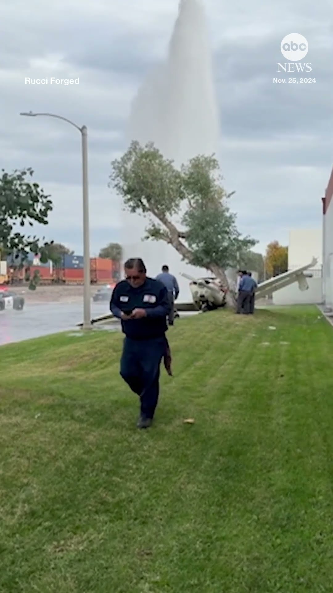 Small plane makes crash landing into tree in Southern California