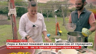 видео: Живот на село: Как се прави сок от глухарчета и домашно сирене?(на гости на Лора и Халил в Брестово) картинка: Живот на село: Как се прави сок от глухарчета и домашно сирене?(на гости на Лора и Халил в Брестово)