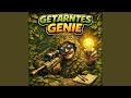 Getarntes Genie