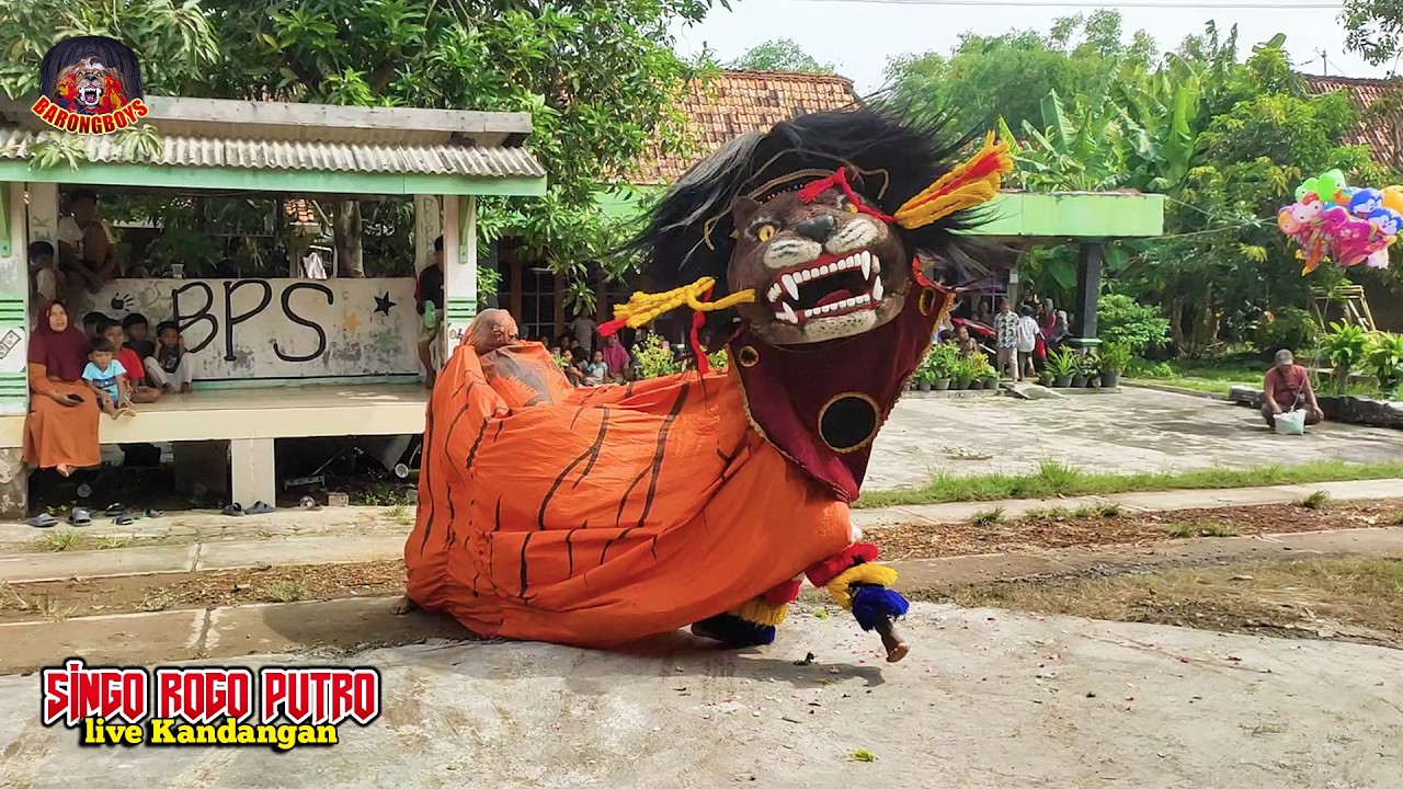 ATRAKSI BARONGAN GALAK NGAMUK!! | Barongan Singo Rogo Putro live Kandangan | BarongBoys