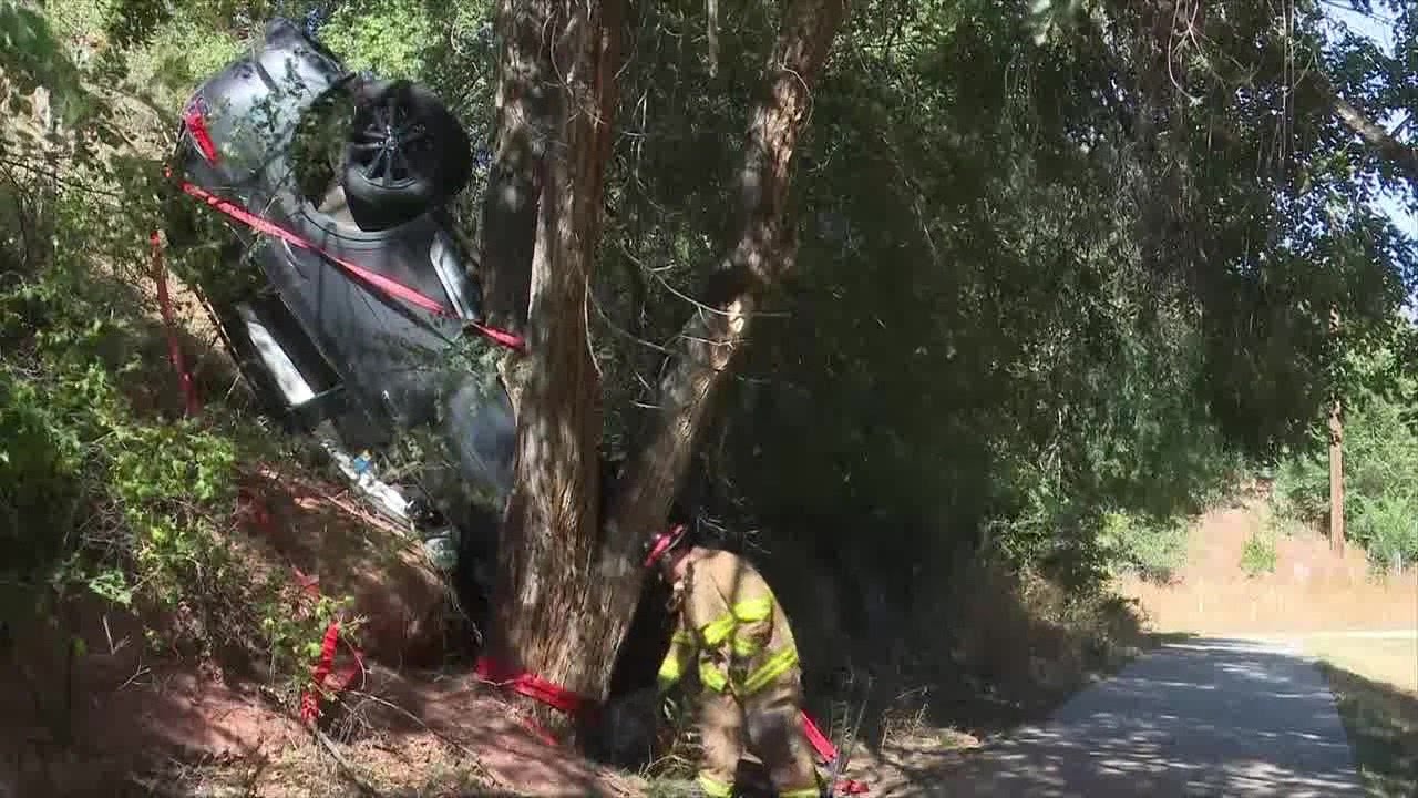 Vehicle stuck in trees after driving off road - YouTube