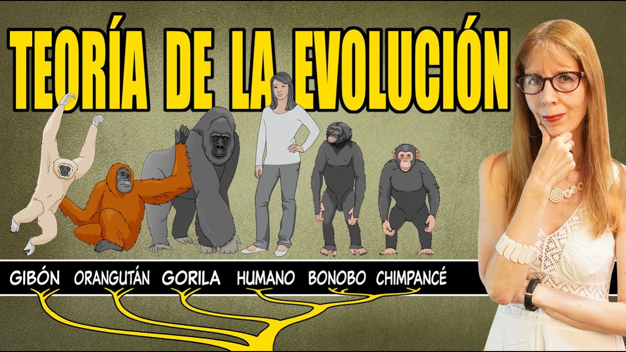 La TEORÍA de la EVOLUCIÓN (explicada con claridad)