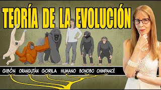 La TEORÍA de la EVOLUCIÓN (explicada con claridad)