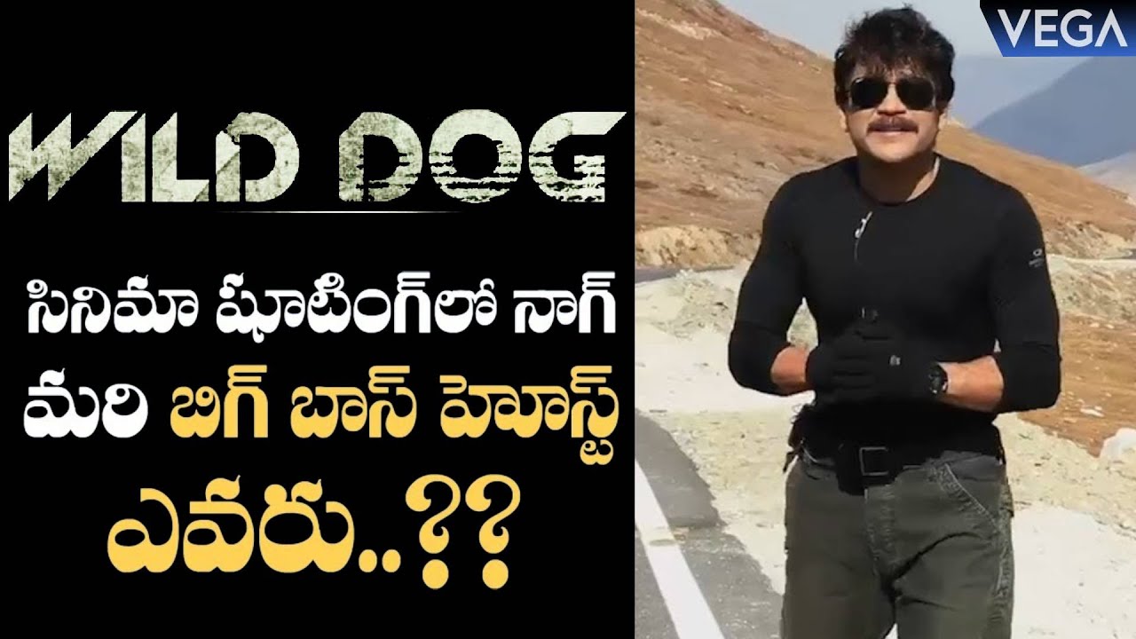 Nagarjuna In Wild Dog Movie Shooting at Himalayas || 