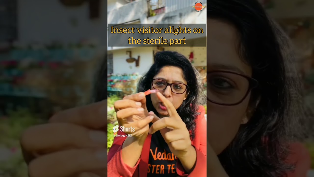 Only 1% Students Know This..Salvia Lever Mechanism - Botany [GUARANTEED QUESTION - 8 ] 