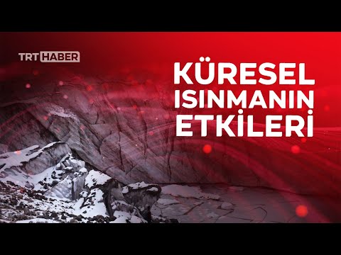 Cilo buzullarında erime