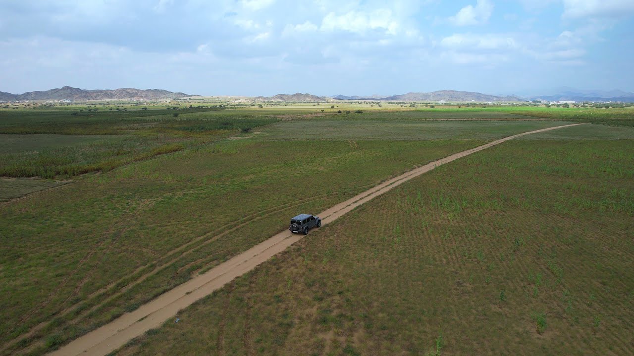 ربيع خميس حرب(KSA )#037