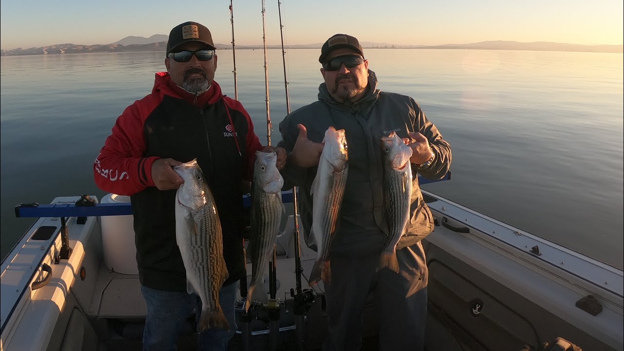 Striper limits mothball fleet beautiful fishing day YouTube