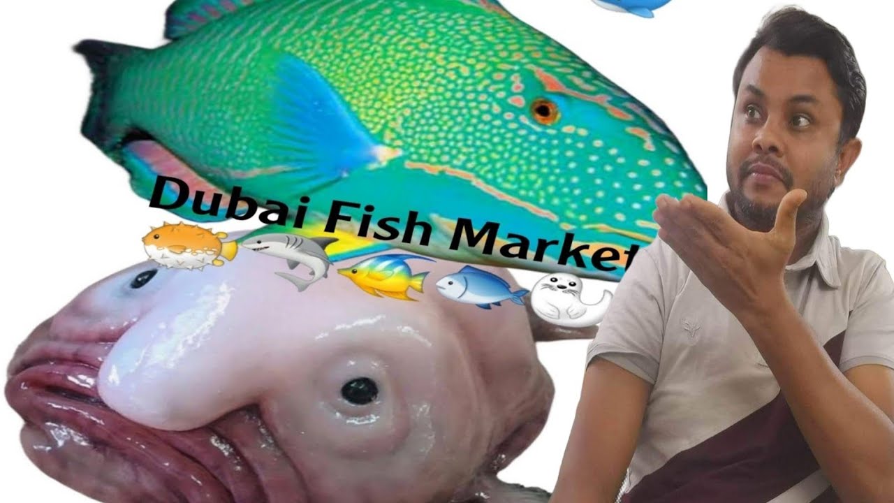 What is the price of fish in Dubai market? Domestic and foreign fish