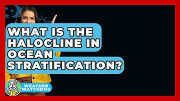What Is The Halocline In Ocean Stratification? - Weather Watchdog