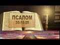 Место из Библии. Наши провозглашения. Псалом 30:16-25