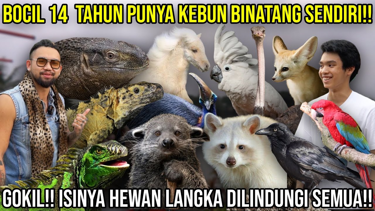 BOCIL 14 TAHUN PUNYA KEBUN BINATANG SENDIRI!! ISINYA HEWAN LANGKA DILINDUNGI SEMUA!! JASMINE PARK