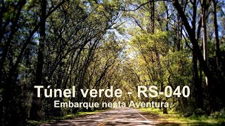 TÚNEL VERDE - RS-040 -  patrimônio histórico e cultural do Estado do Rio Grande do Sul